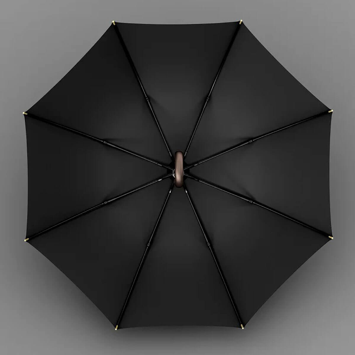 Stylish Long Umbrella for Women