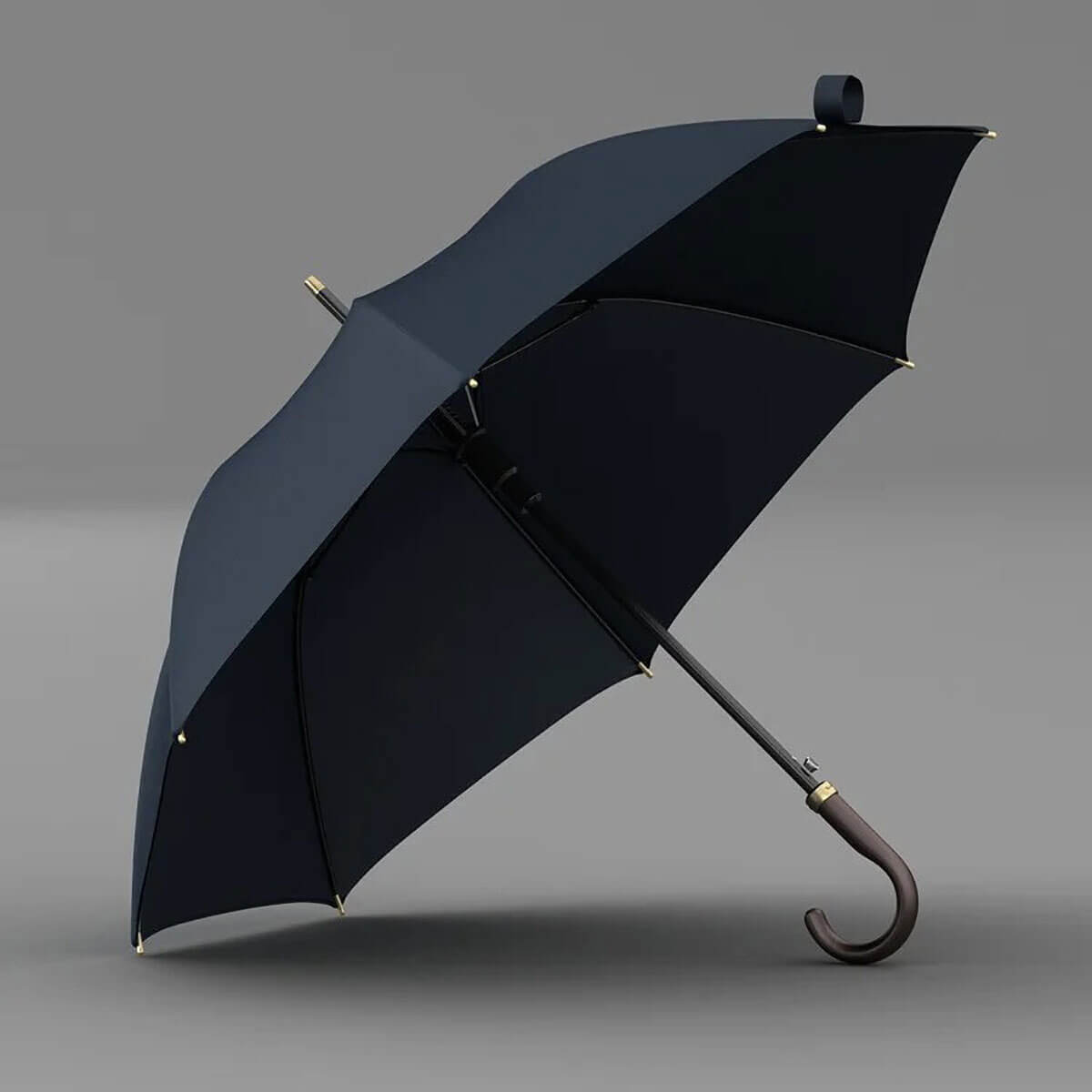Enchanted Elegance Long Umbrella open under rainy sky