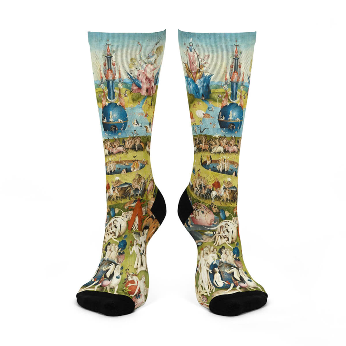 Hieronymus Bosch The Garden of Earthly Delights Socks