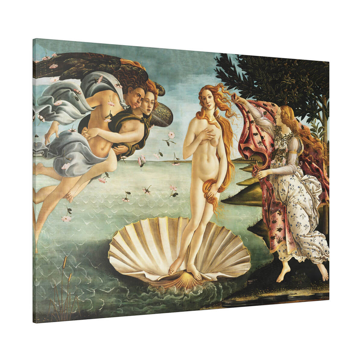 Mystical Birth of Venus Canvas Poster Art