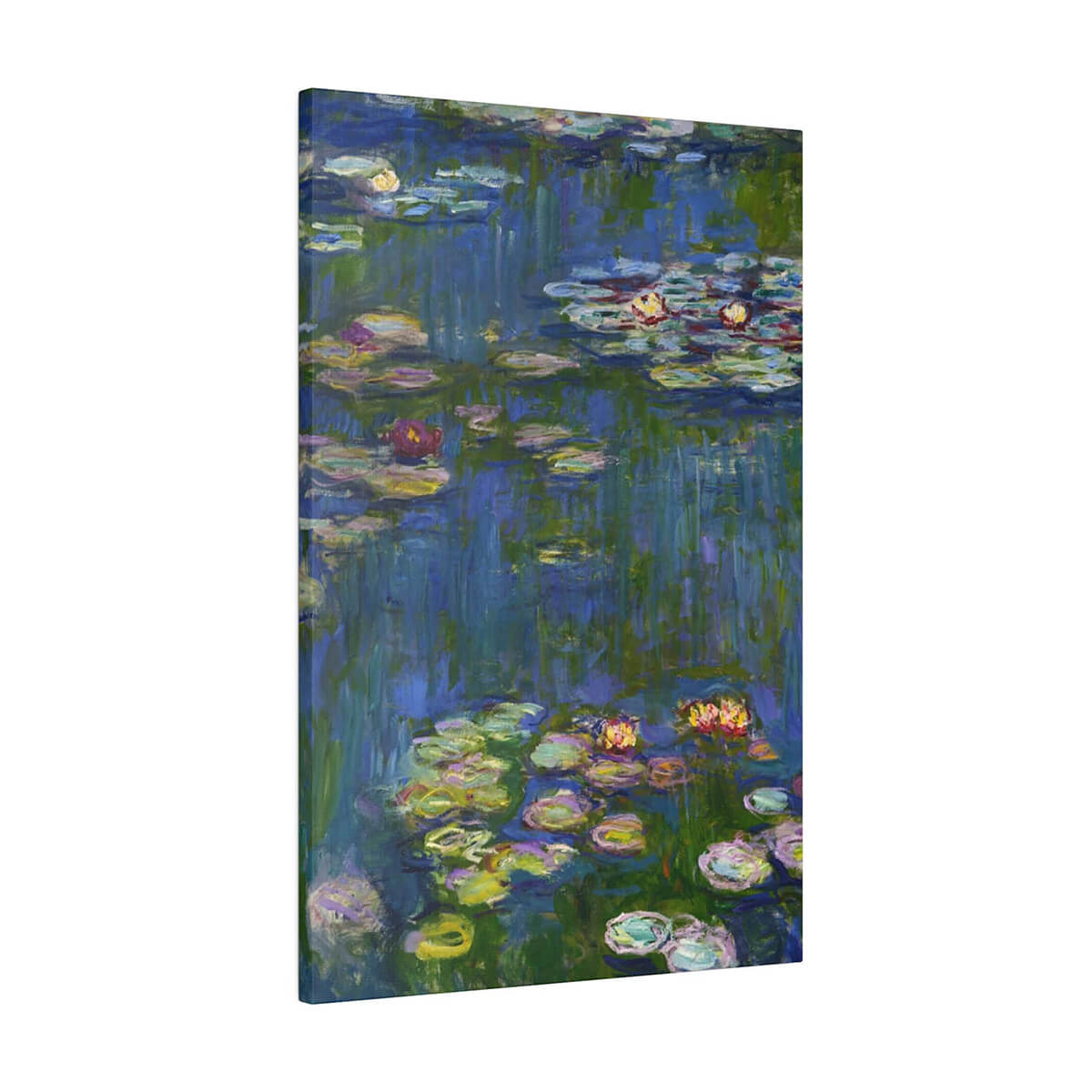 Tranquil scene of water lilies on a pond